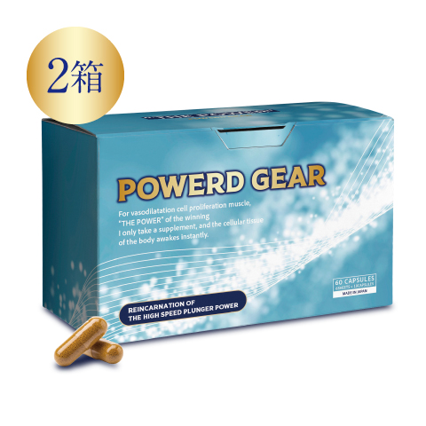パワードギア（2箱）